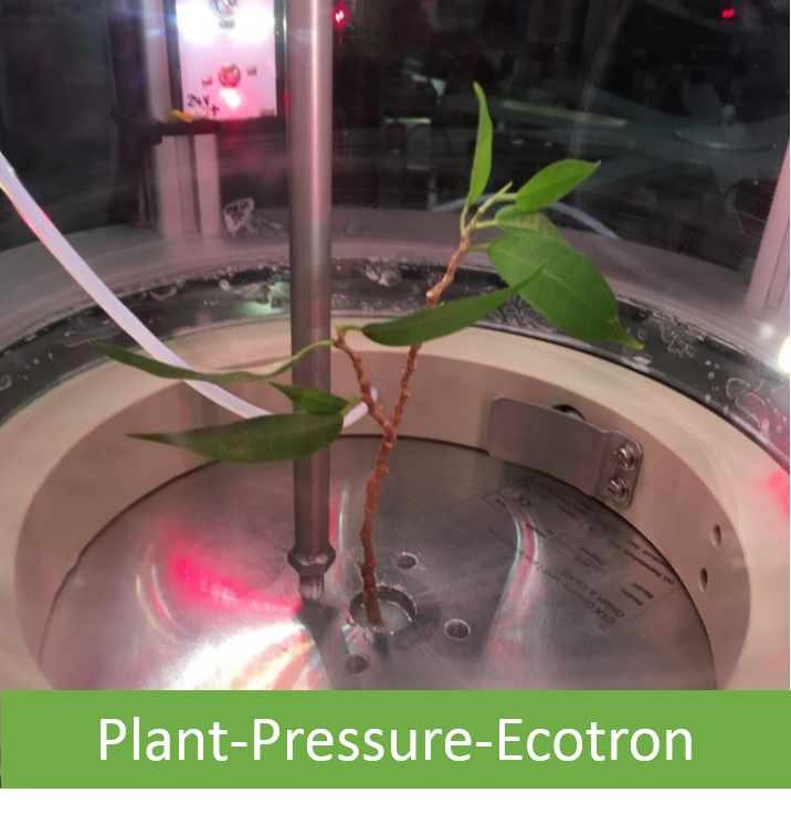 Plant Pressure Ecotron (PPE)