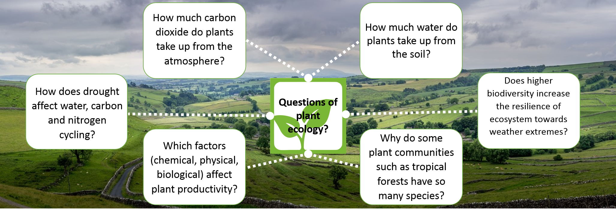 questions of plant ecology